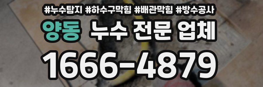 양동 누수 전문 업체