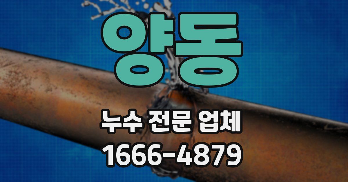 양동 누수 전문 업체