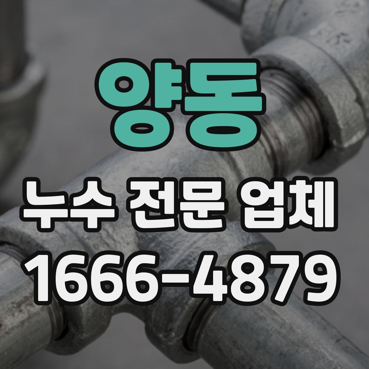 양동 누수 전문 업체