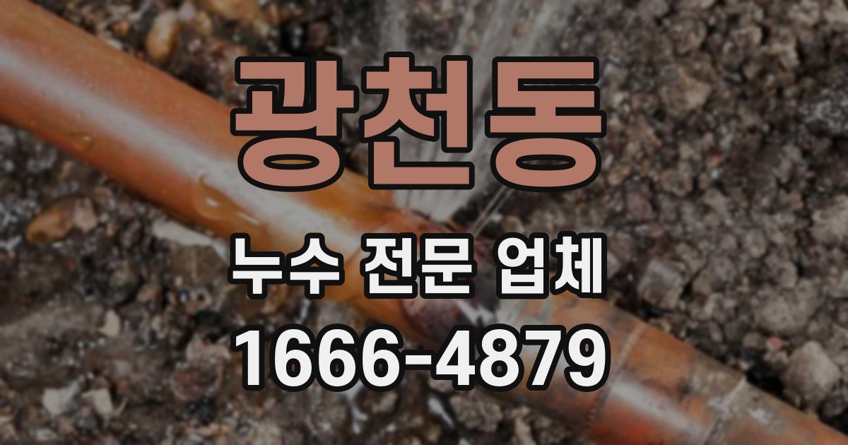 광천동 누수 전문 업체