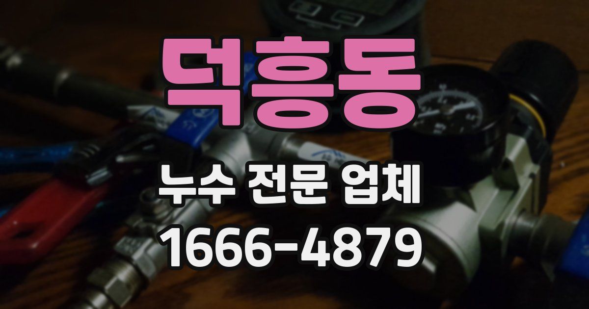덕흥동 누수 전문 업체