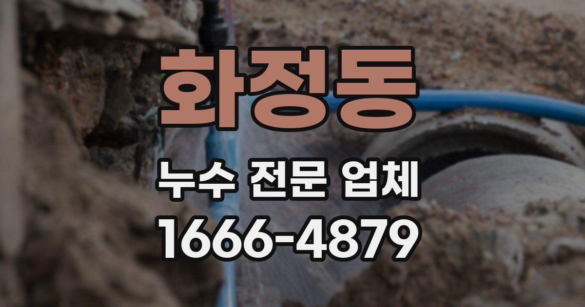 화정동 누수 전문 업체