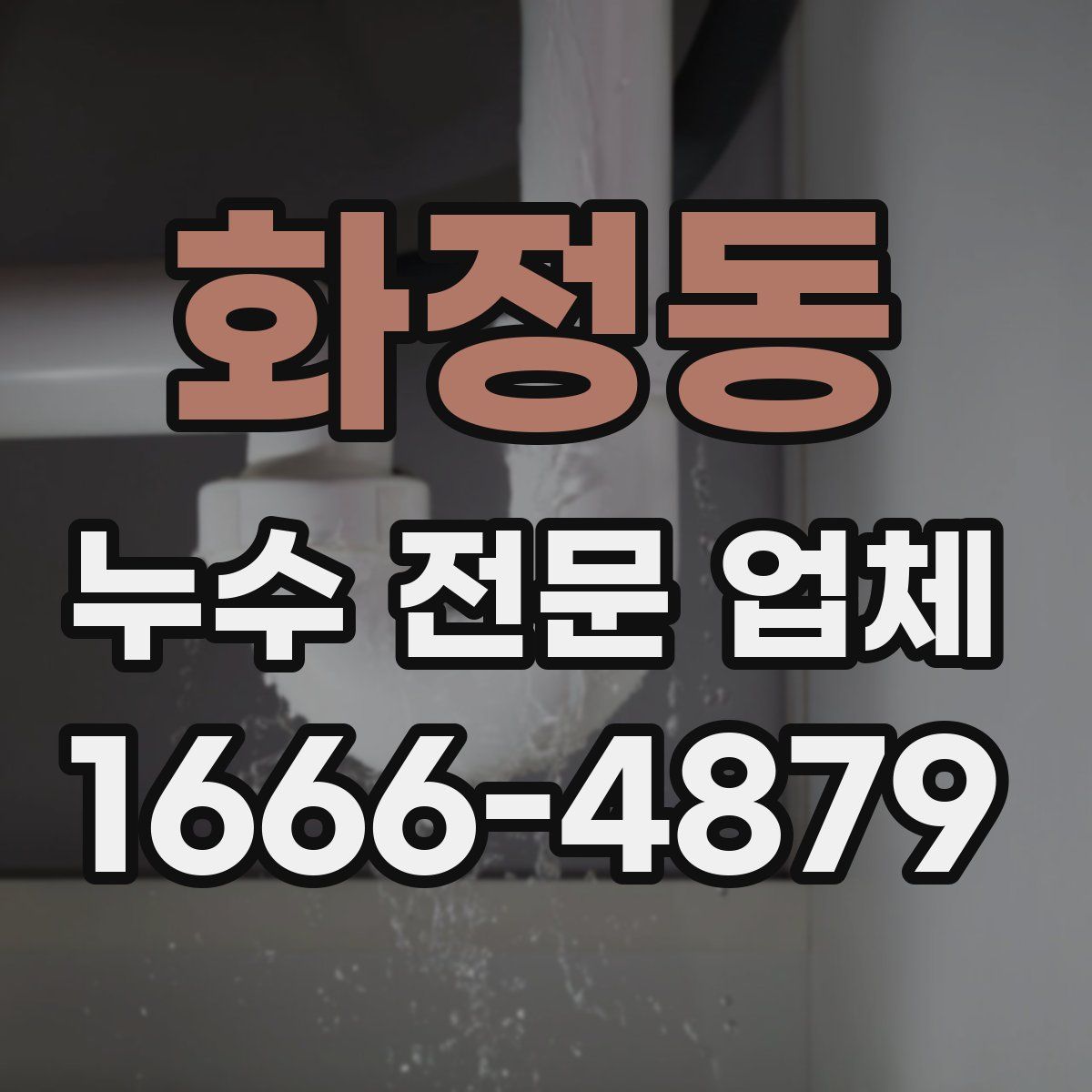 화정동 누수 전문 업체