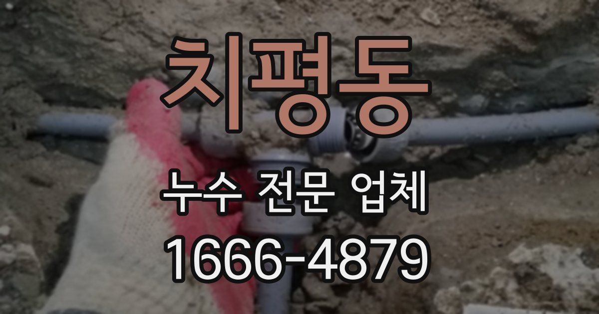 치평동 누수 전문 업체
