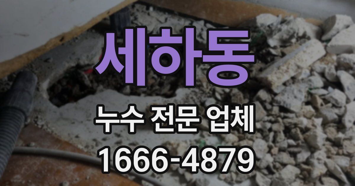 세하동 누수 전문 업체