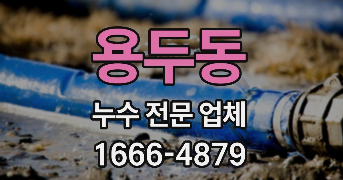 용두동 누수 전문 업체