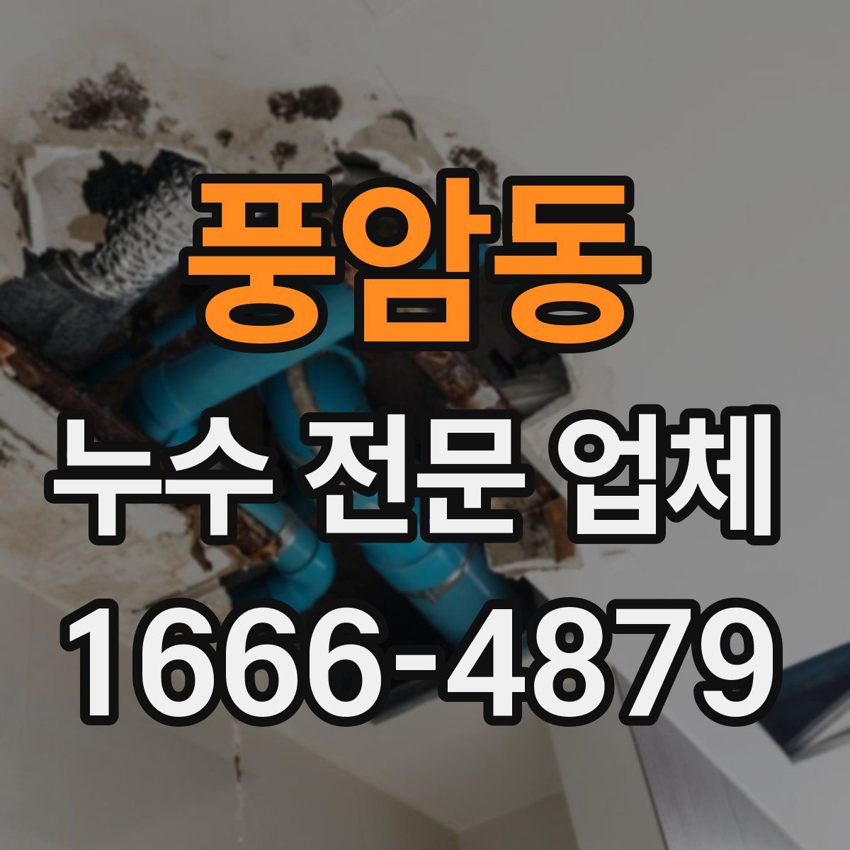 풍암동 누수 전문 업체