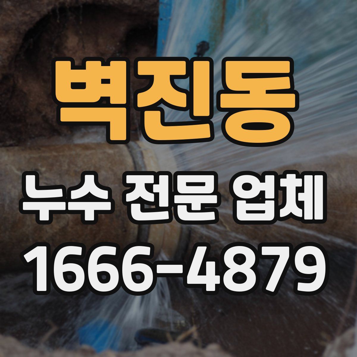 벽진동 누수 전문 업체