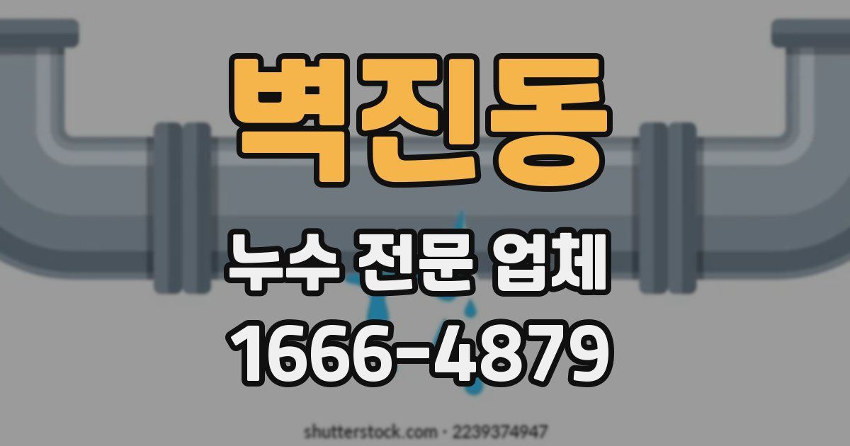 벽진동 누수 전문 업체