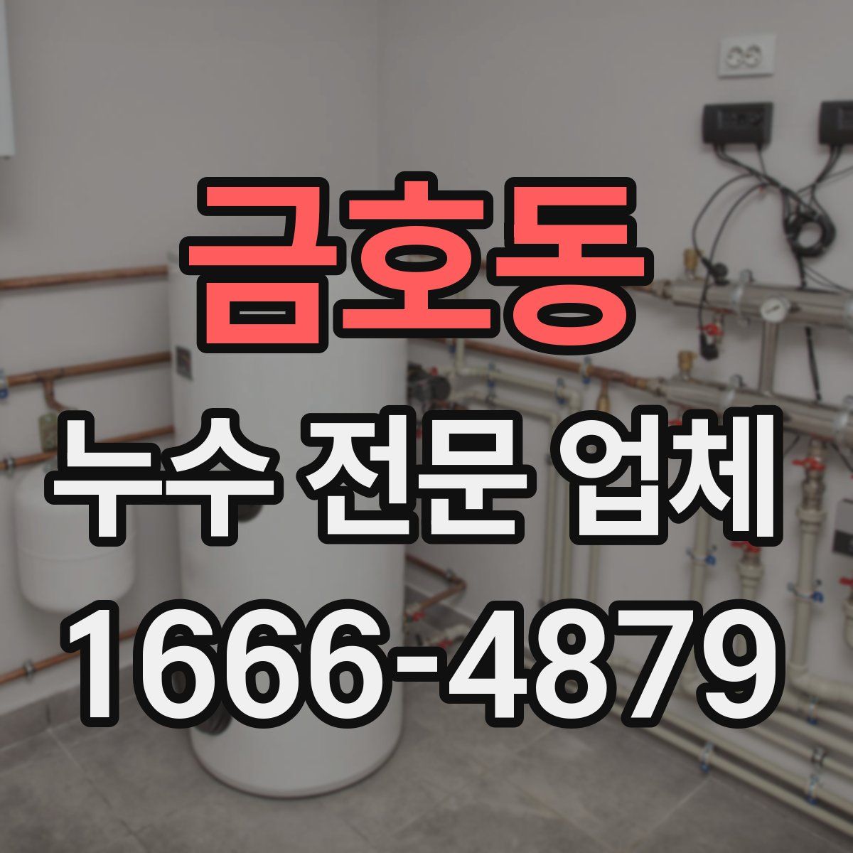 금호동 누수 전문 업체