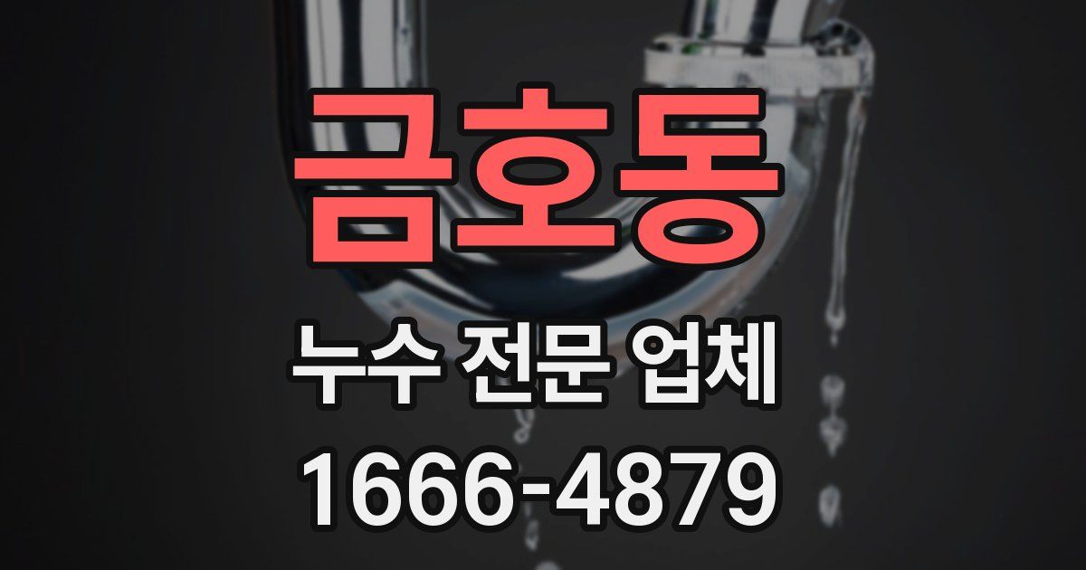 금호동 누수 전문 업체