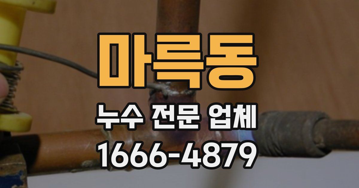 마륵동 누수 전문 업체