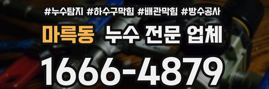 마륵동 누수 전문 업체
