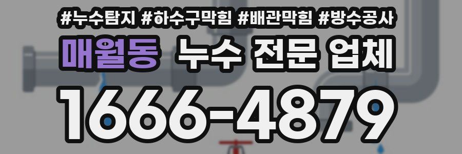 매월동 누수 전문 업체
