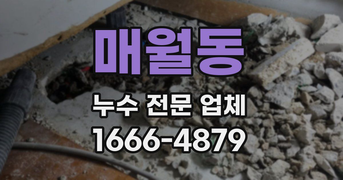 매월동 누수 전문 업체