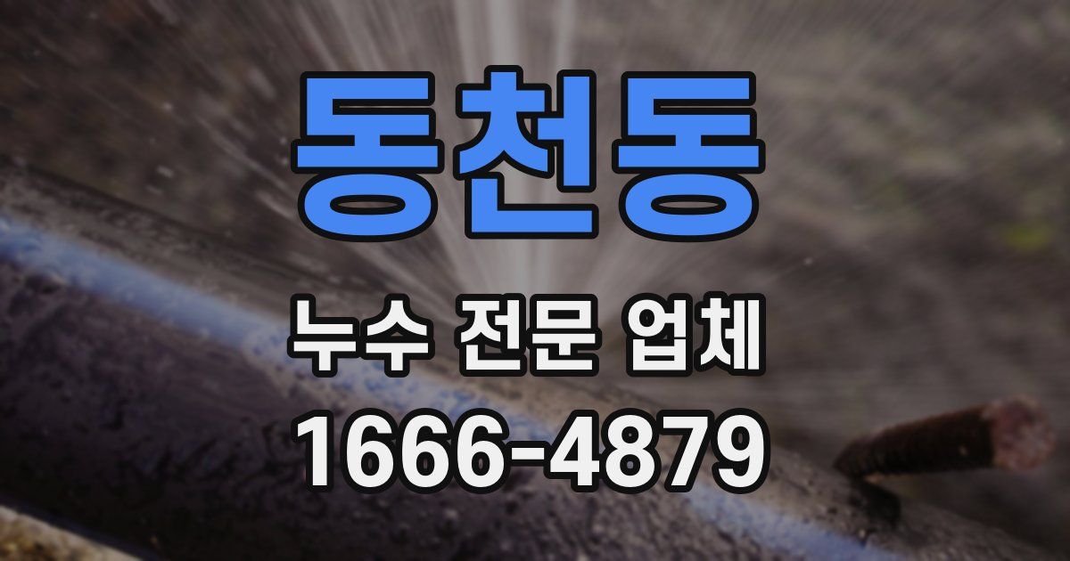 동천동 누수 전문 업체