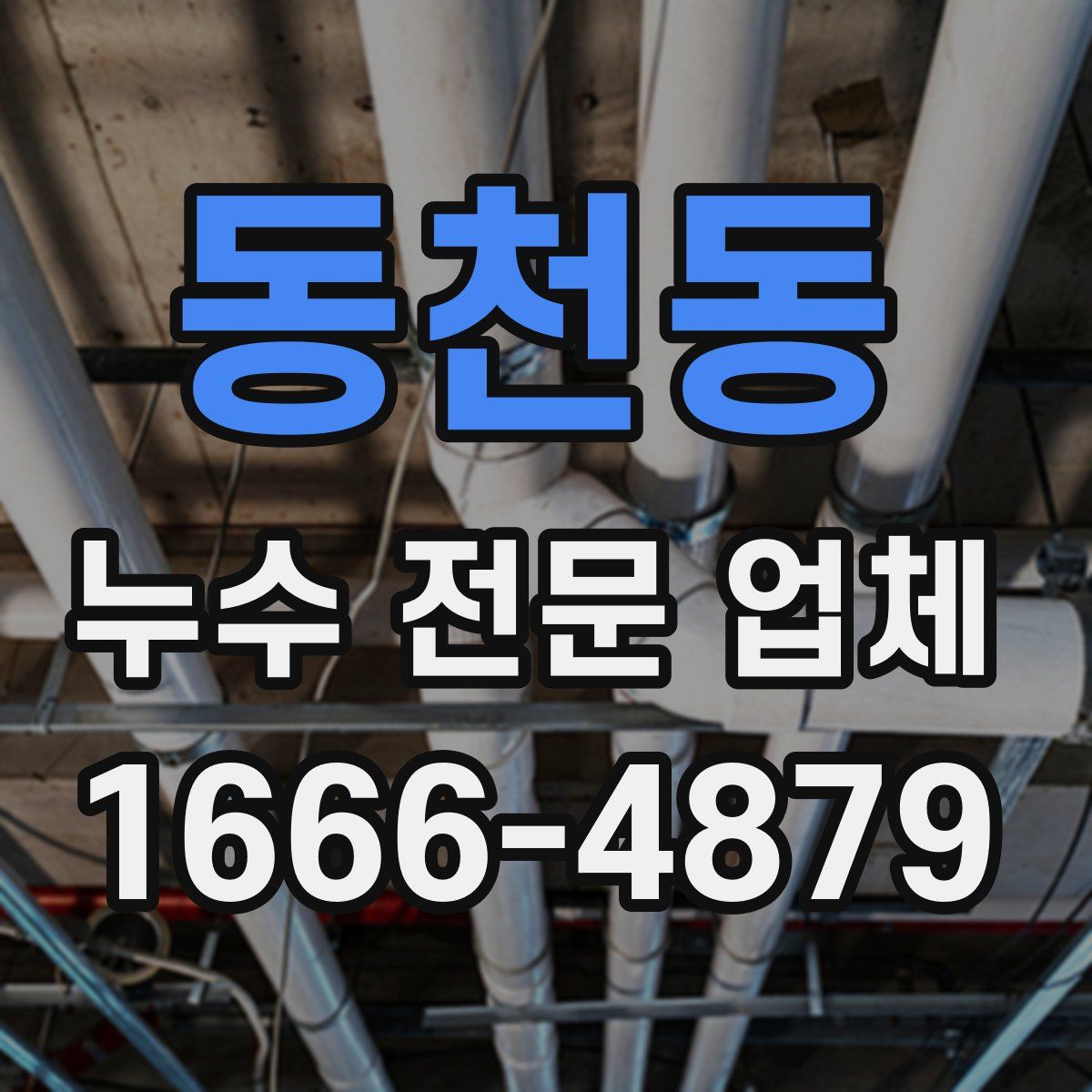 동천동 누수 전문 업체