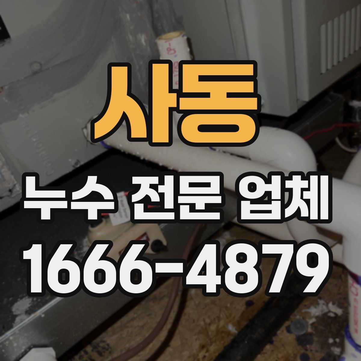 사동 누수 전문 업체