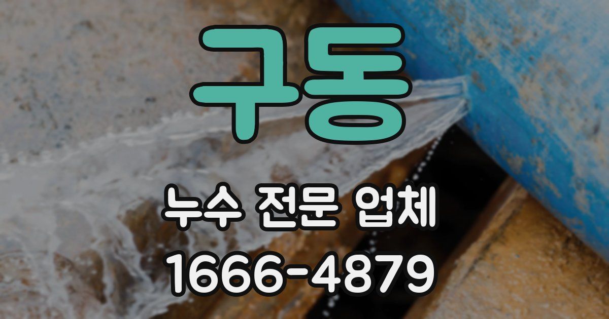 구동 누수 전문 업체