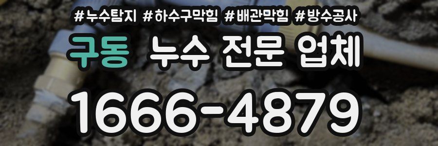 구동 누수 전문 업체