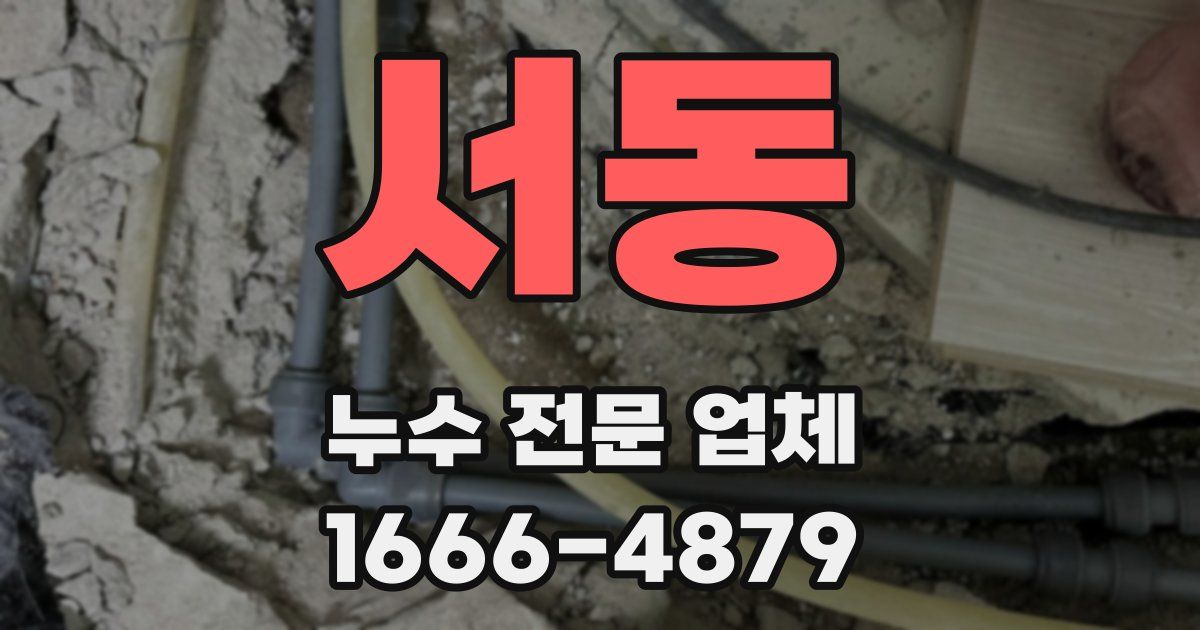 서동 누수 전문 업체