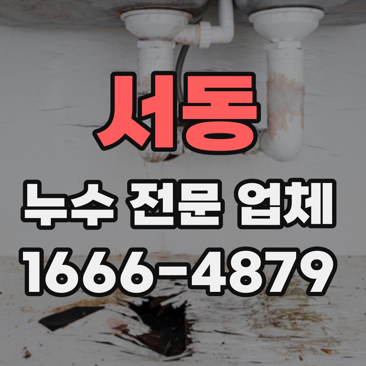 서동 누수 전문 업체