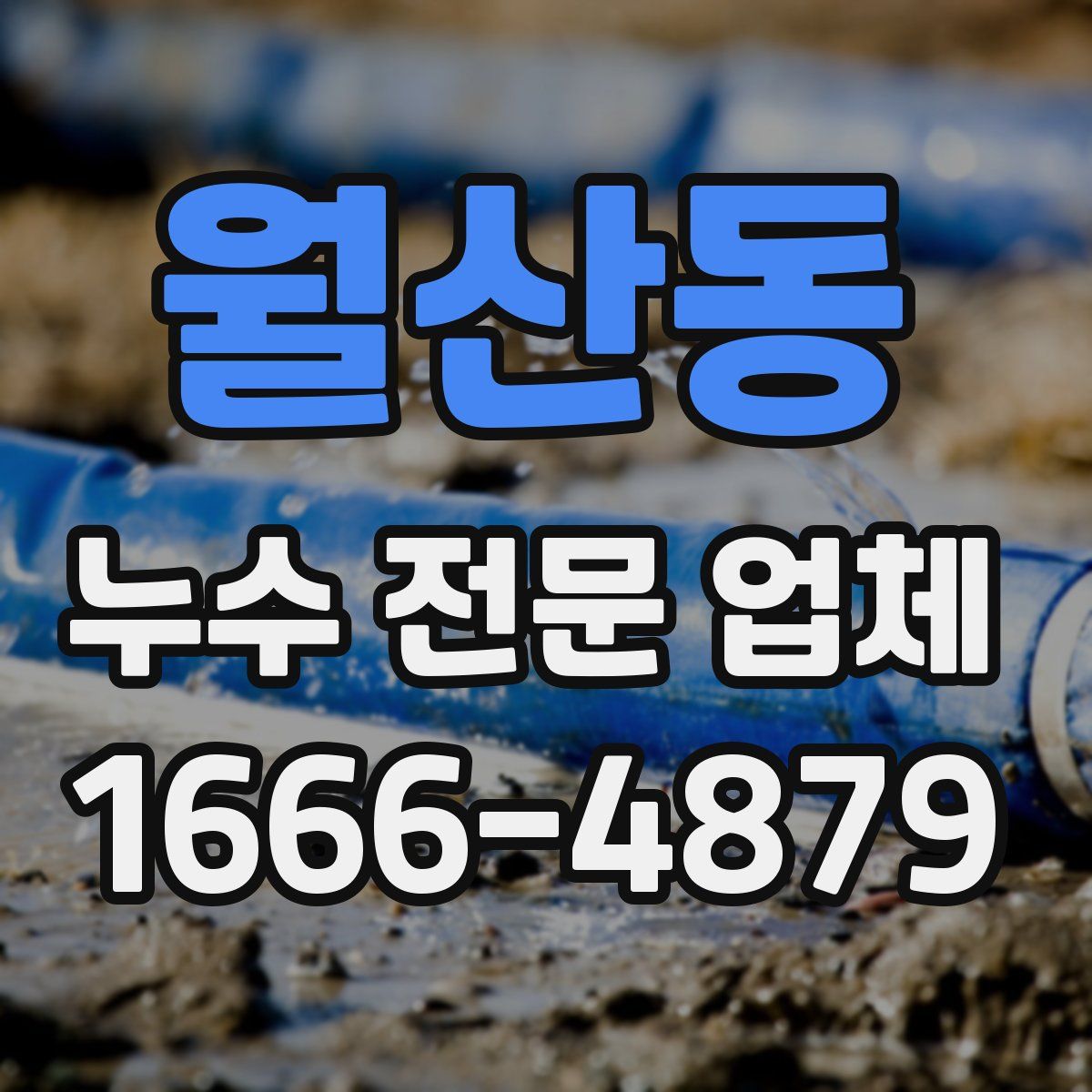 월산동 누수 전문 업체