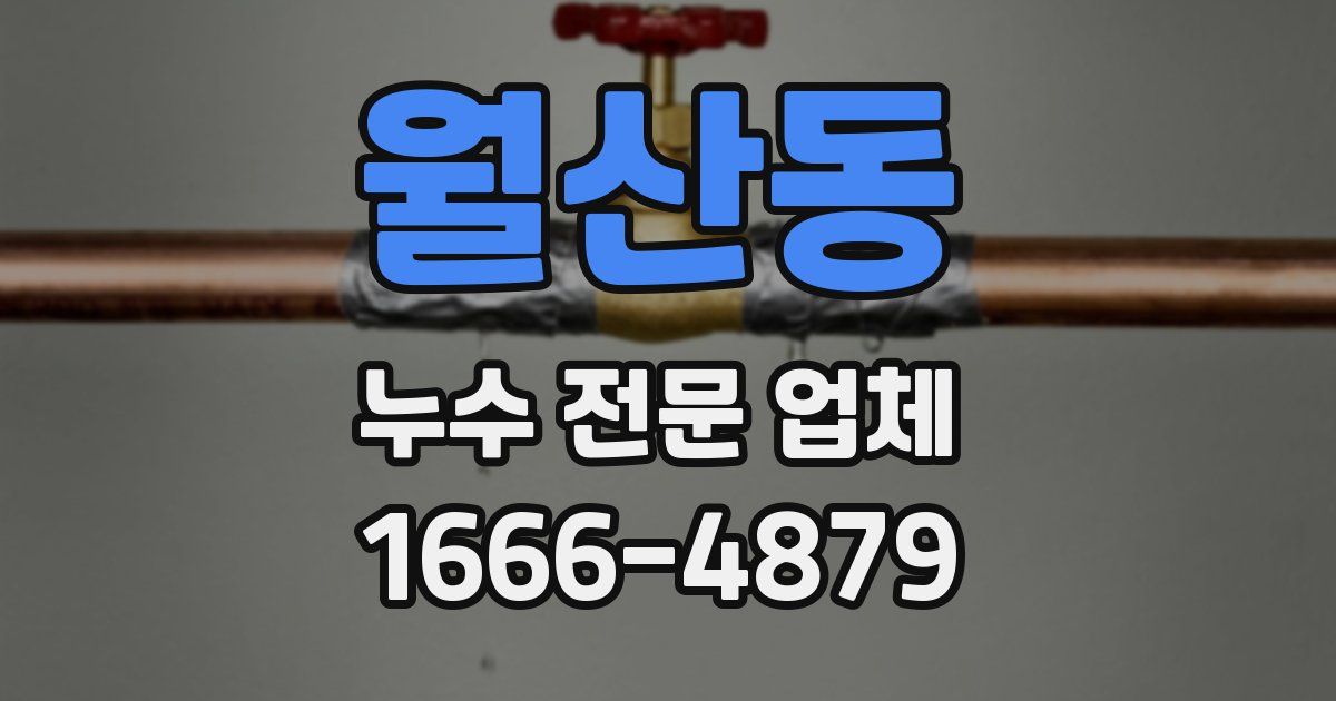 월산동 누수 전문 업체