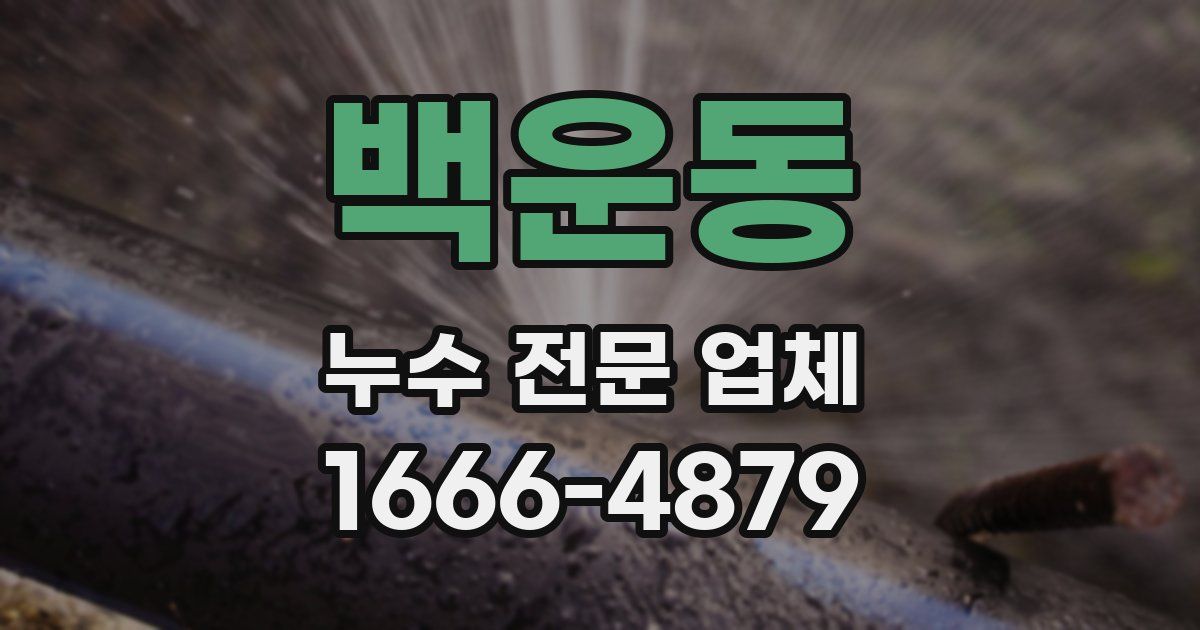 백운동 누수 전문 업체