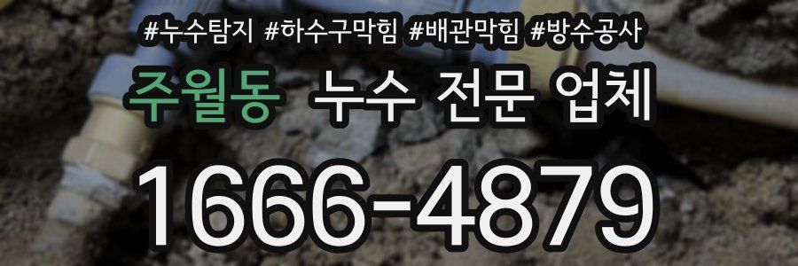 주월동 누수 전문 업체