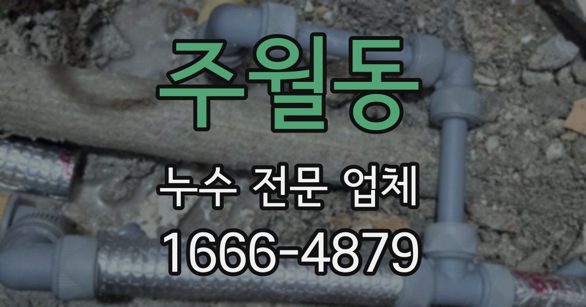 주월동 누수 전문 업체