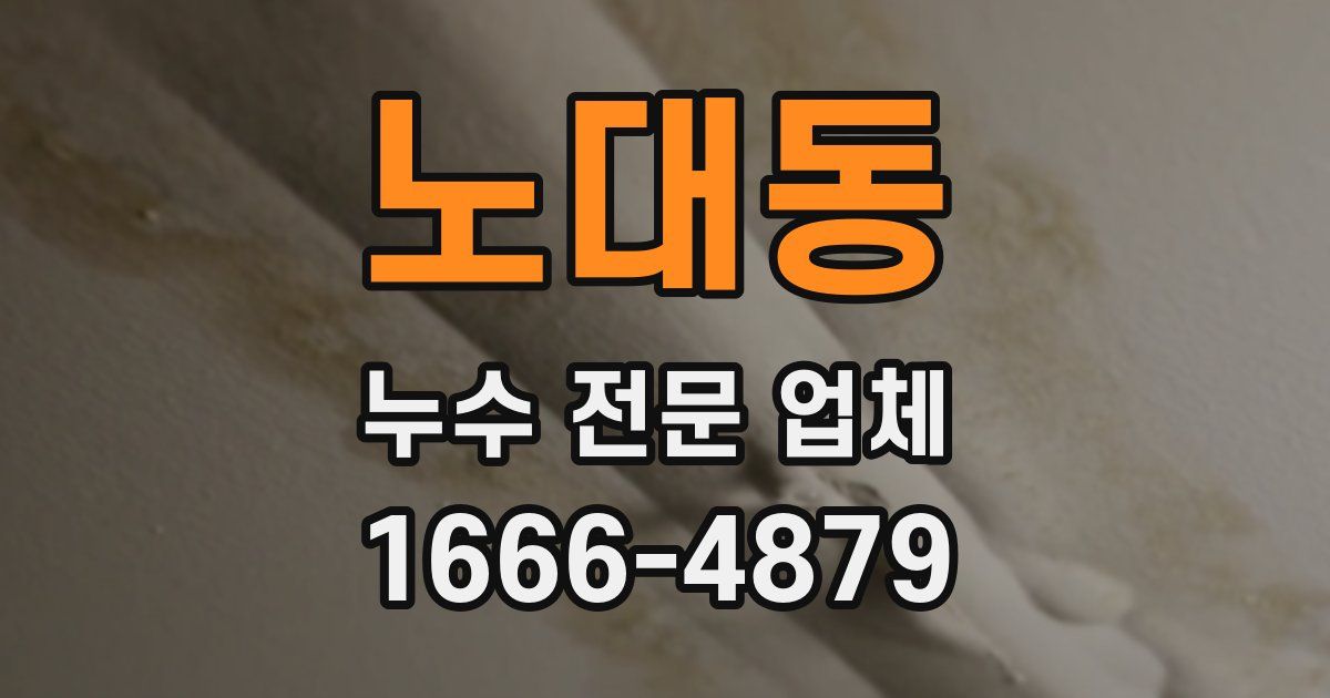 노대동 누수 전문 업체