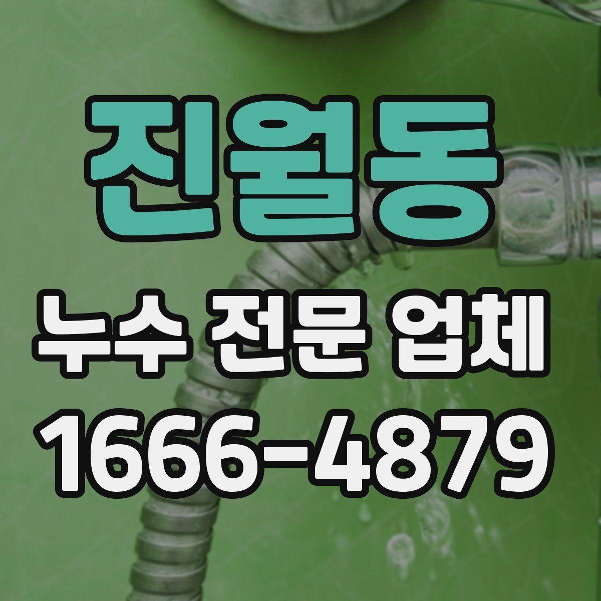 진월동 누수 전문 업체