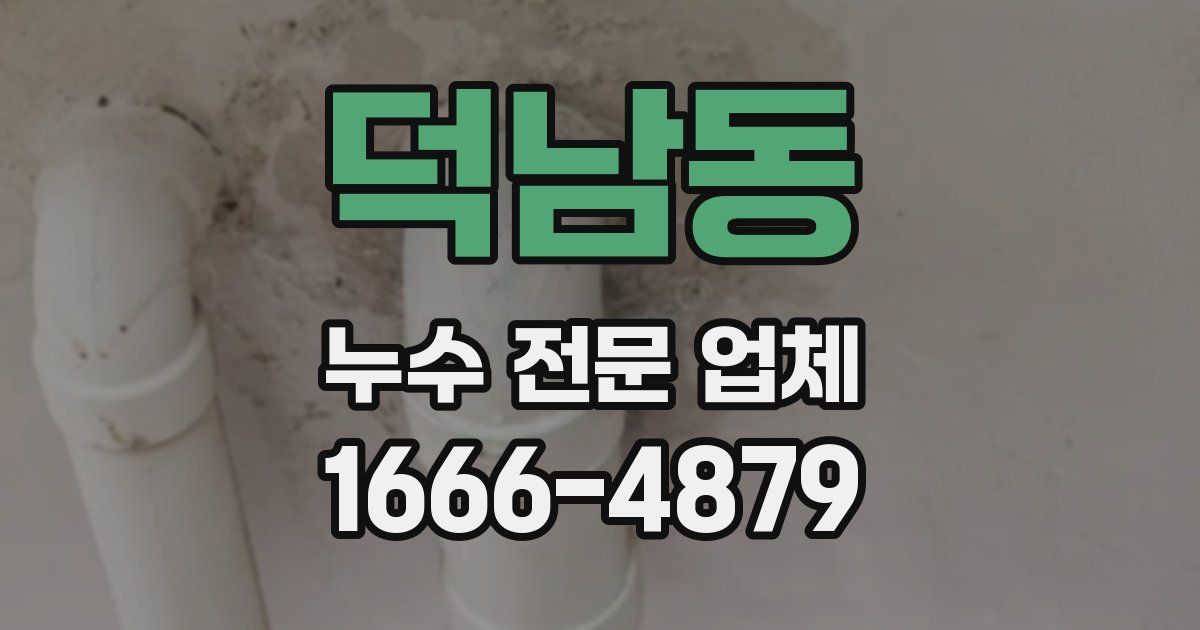 덕남동 누수 전문 업체