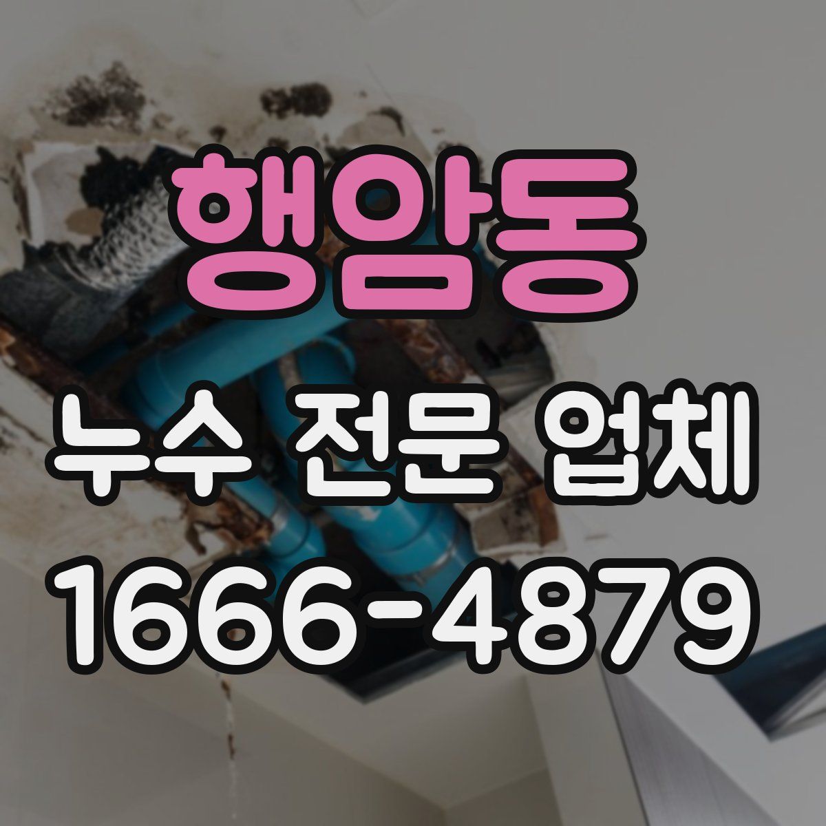 행암동 누수 전문 업체