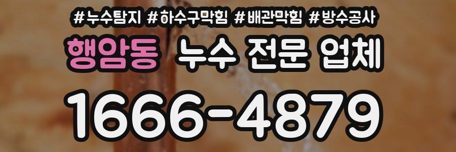 행암동 누수 전문 업체