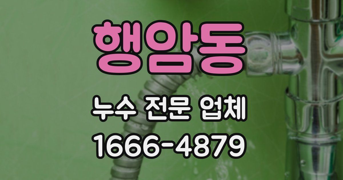 행암동 누수 전문 업체