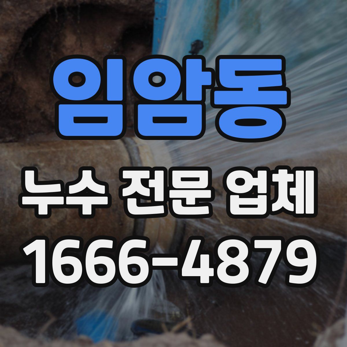 임암동 누수 전문 업체