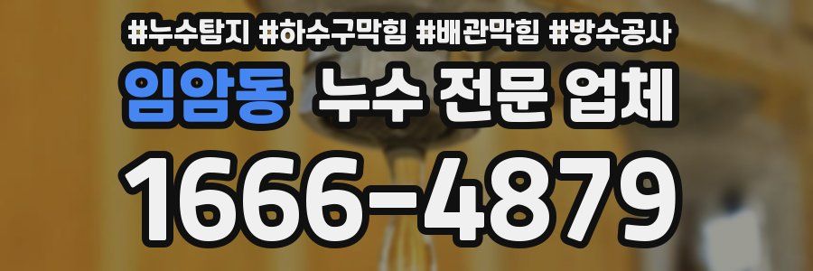 임암동 누수 전문 업체