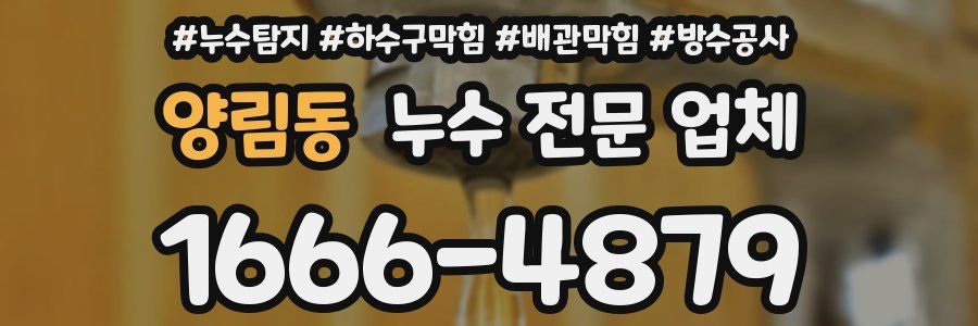 양림동 누수 전문 업체