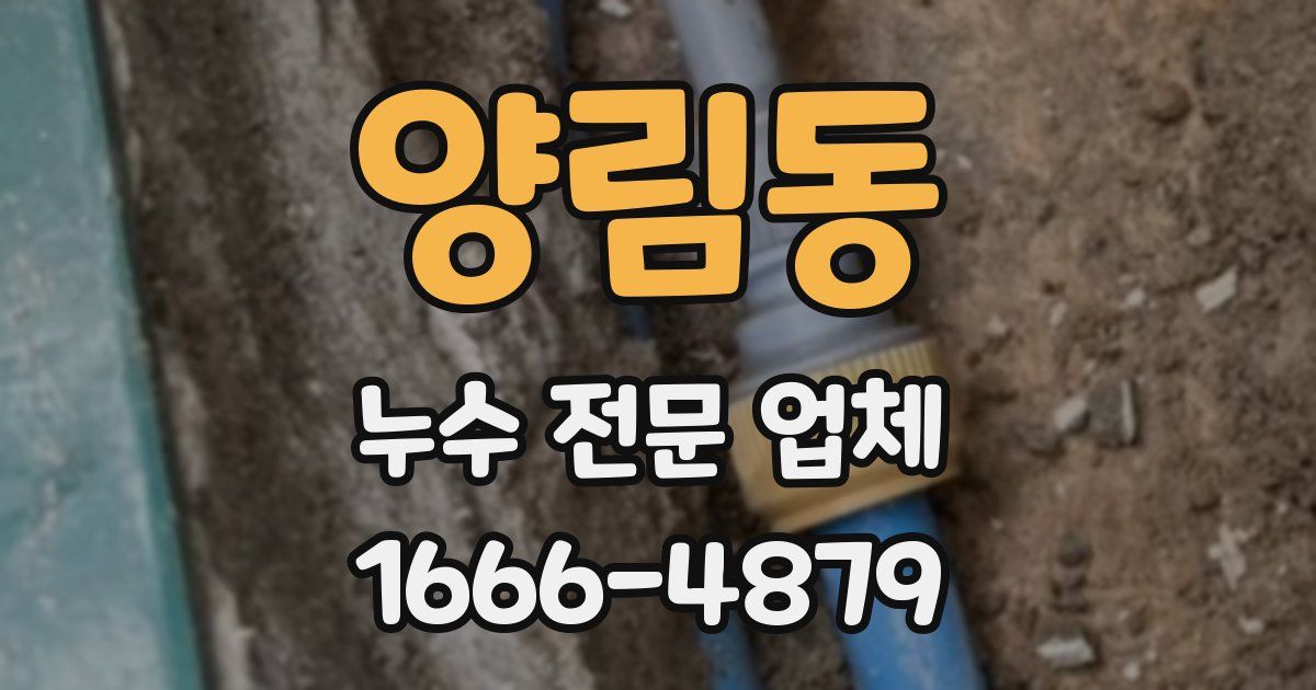 양림동 누수 전문 업체