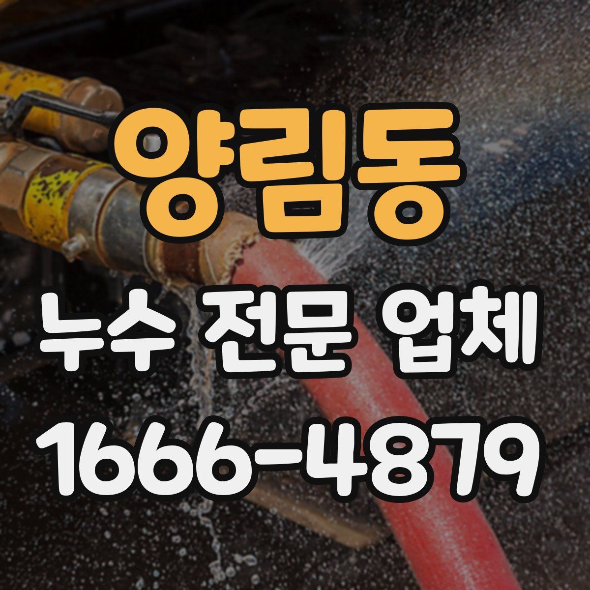 양림동 누수 전문 업체