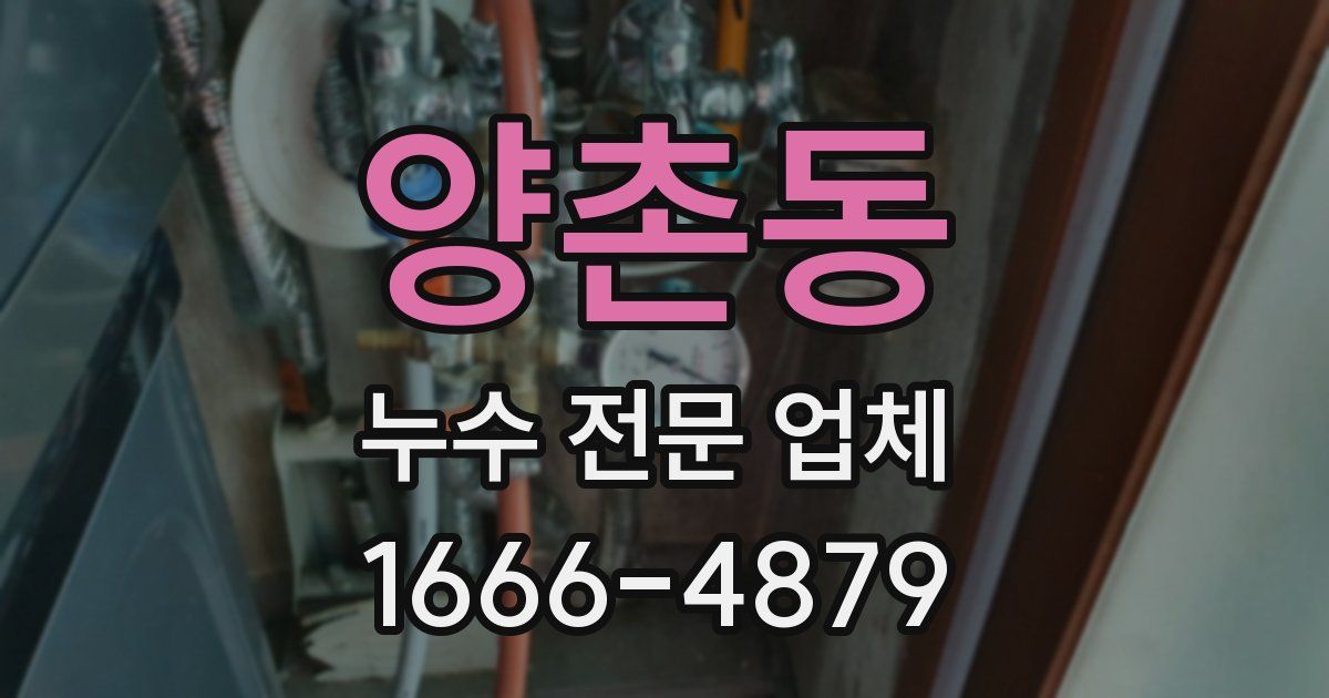 양촌동 누수 전문 업체
