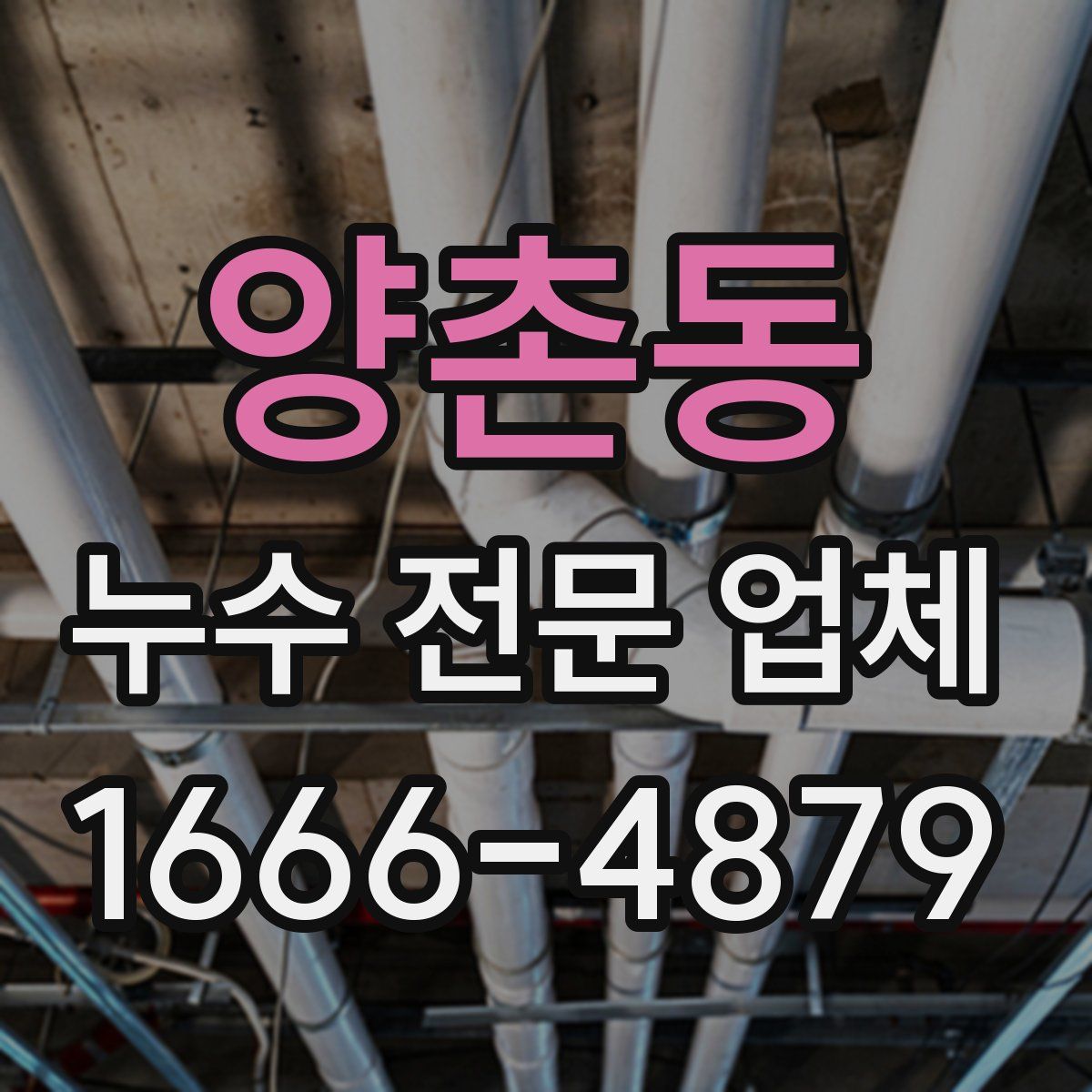 양촌동 누수 전문 업체