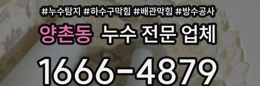 양촌동 누수 전문 업체