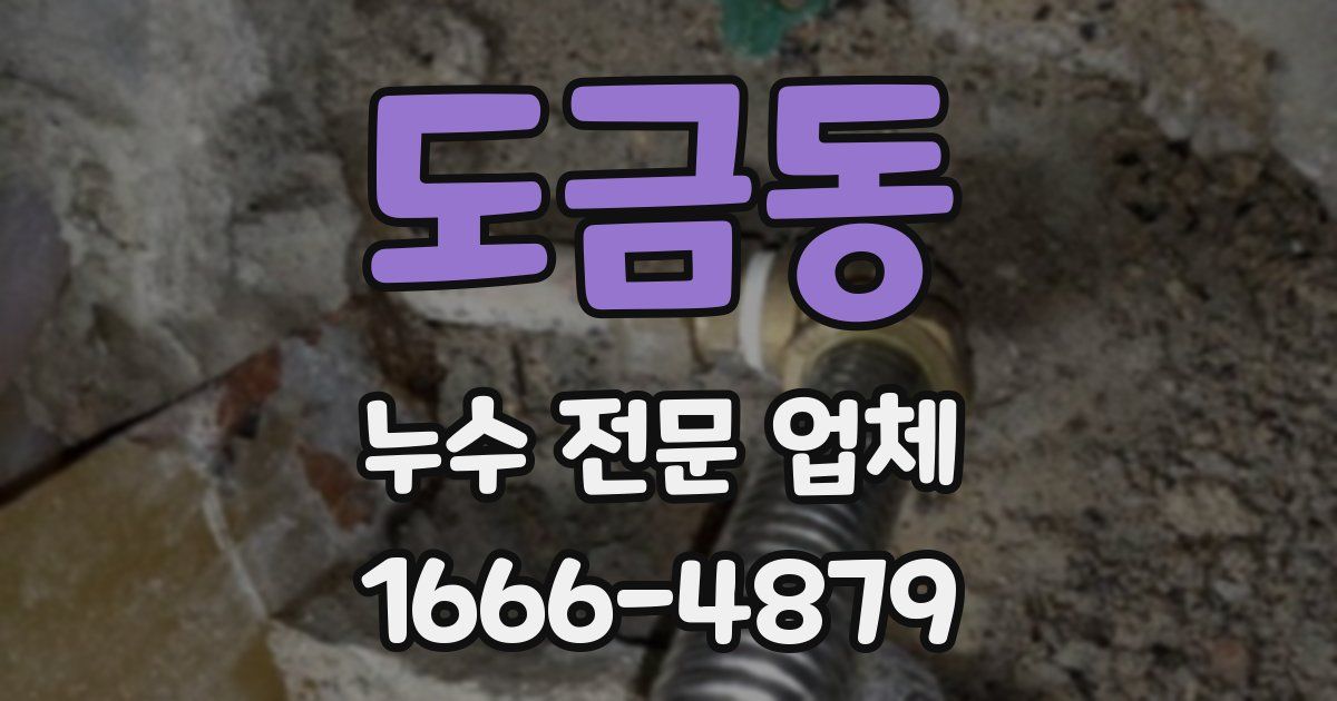 도금동 누수 전문 업체