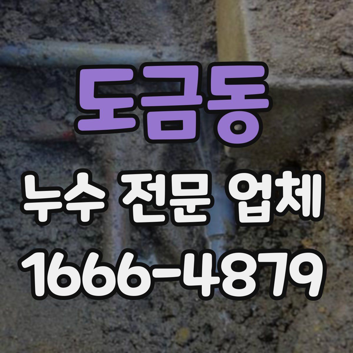 도금동 누수 전문 업체