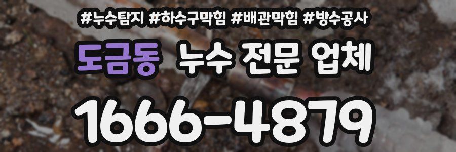 도금동 누수 전문 업체
