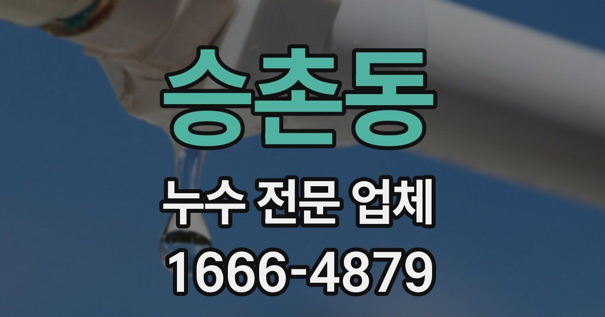 승촌동 누수 전문 업체