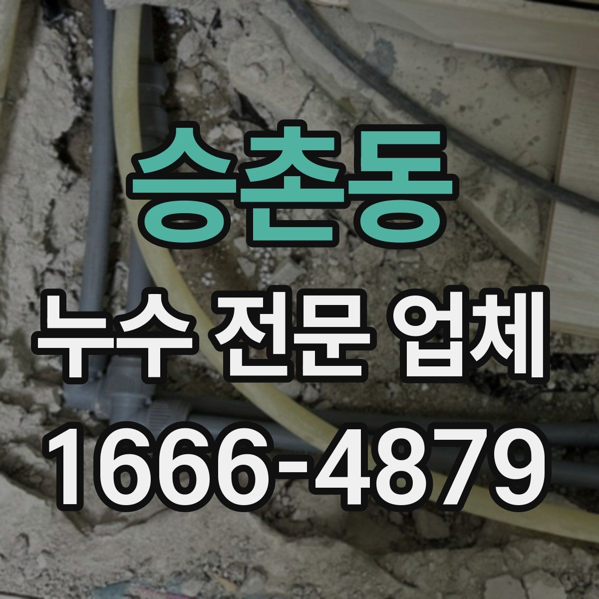 승촌동 누수 전문 업체